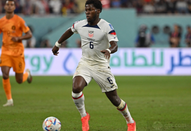 球迷在评论 球迷在评论