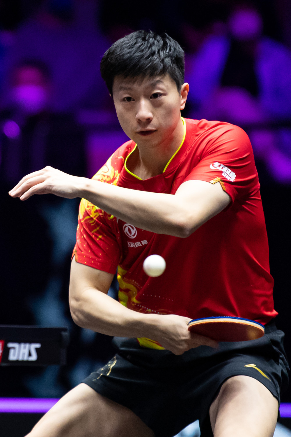 奥斯卡的归 奥斯卡的归