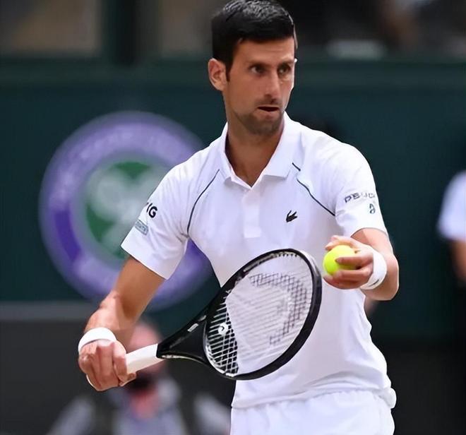 结论性提醒 结论性提醒